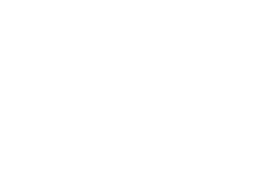 Ray's Venir logo